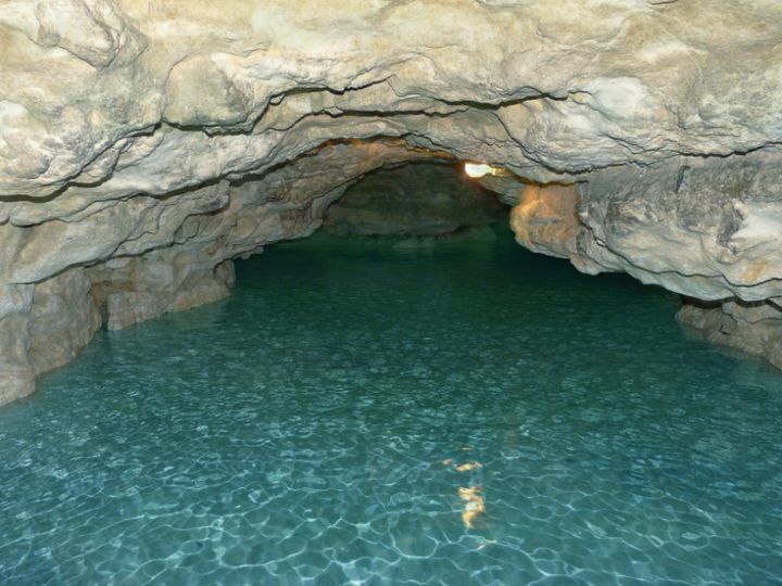 Do Betta Fish Like Caves?